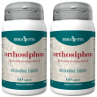 Erba vita orthosiphon capsule 2x27 g