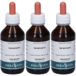 Erba vita tarassaco radice soluzione idroalcolica 3x100 ml o
