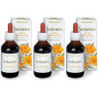 Erbamea sedanerv gocce 3x100 ml orali