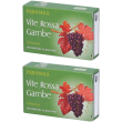 Erbamea vite rossa gambe compresse 2x25,5 g