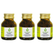 Erbex ginkgo biloba capsule 3x38 g