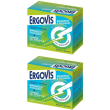 Ergovis magnesio potassio + vitamine gruppo b 2x240 g