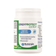 Ergyprotect confort integratore emolliente e lenitivo per la funzione digestiva 60 capsule