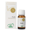 Essentia tuja olio essenziale