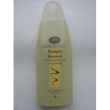 Euphidra bodycl shampoo plantago250