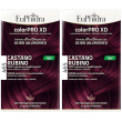 Euphidra colorpro xd 465 castano rubino set da 2 2x50 ml lozione per c