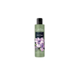 Euphidra crema corpo idr fresia