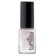 Euphidra minismalto sr52