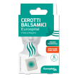 Eurospital cerotti balsamici fresco respiro 6 pz cerotto