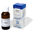 Extragem nocciolo gemme 20ml