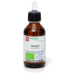 Faggio macerato glicerinato bio 100 ml