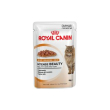 Feline hn intense jelly 85g