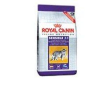 Feline hn sensible 33 10kg