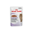 Feline hn sterilised jelly1 85