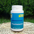 Fenilalanina 500 30 capsule
