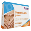 Fermenti lattici/vit b 12 bustine