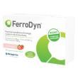 Ferrodyn 84 capsule masticabili