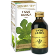 Fico 100ml liquido analc gemmo 10+