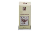 Fico gemme estr analco 50ml