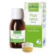 Ficus carica mg 60ml intensivo