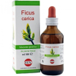 Ficus carica mg 100ml gocce