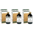 Fieno greco estratto integrale 200 ml 3x200 ml soluzione orale