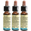 Fiori di bach 11 elm leo 10 ml soluzione orale