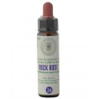 Fiori di bach 26 rock rose gocce