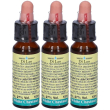 Fiori di bach 35 white chestnut 10 ml leo 3x10 ml soluzione orale