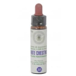 Fiori di bach 35 white chestnut gocce 10 ml princeps