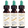 Fiori di bach benoit mimulus 10 ml 3x10 ml gocce orali