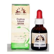 Fitoblasto cedrus libani 50ml