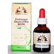 Fitoblasto crataegus oxyac 50m