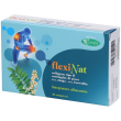 Flexinat compresse 24 g