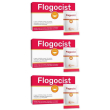 Flogocist bustine 3x10 pc polvere per soluzione orale