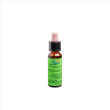 Florit 17 hornbeam/car bi gt10