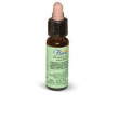 Florit 33 walnut/noce gocce 10ml