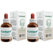Forza vitale cardepat® 2x50 ml gocce orali