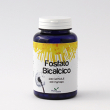 Fosfato bicalcico 60 capsule