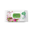 Fria baby sensation x 70 pz