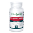 Erba vita capsule monoplanta fucus (quercia marina) integratore stimolante del metabolismo 60 capsule 500 mg