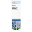 Fucus quercia marina estr fl50