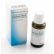 Galium 100ml gocce