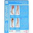 Gambaletto scudovaris classico standard classe di compressione 1 taglia 5
