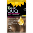 Garnier olia castano chiaro