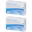 Gasnorm® plus 2x36 pz capsule