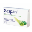 Gaspan 12 capsule molli gastroresistenti