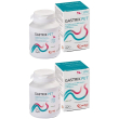 Gastrik pet 30 compresse appetibili set da 2 2x60 g