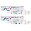 Gastrik pet pasta appetibile 30 ml siringa dosatrice 2x30 ml