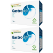 Gastrodep 30 stick set da 2 g polvere per soluzione orale